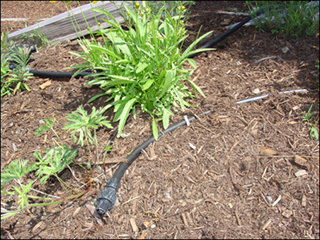 Drip Irrigation Example